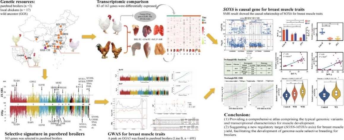 64fabfc439370.jpg 64fabfc439370.jpg