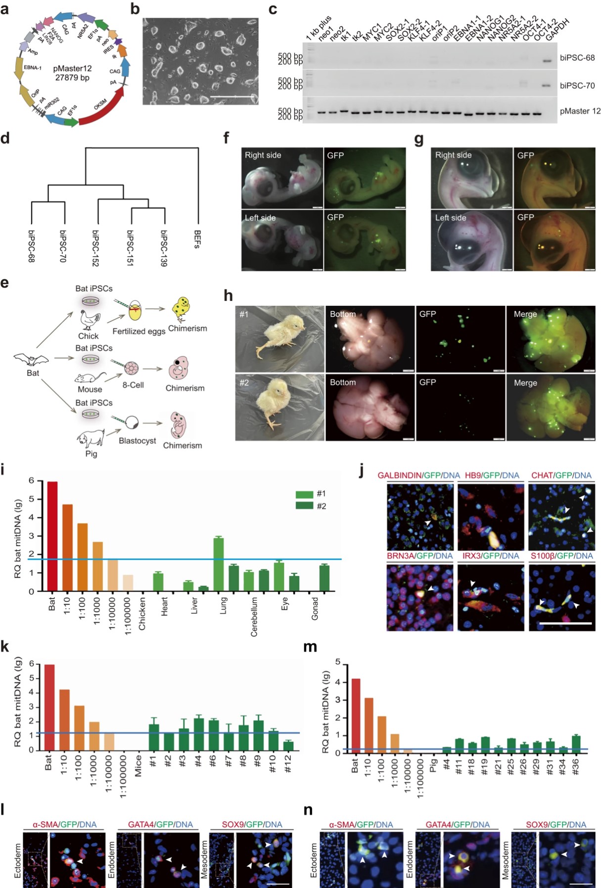 65091a4c78fc7.jpg 65091a4c78fc7.jpg