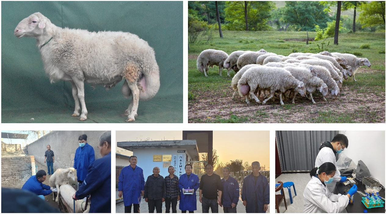 6552302375c1e.jpg 6552302375c1e.jpg