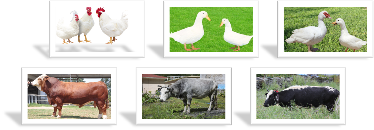 658557ef961b6.png 658557ef961b6.png