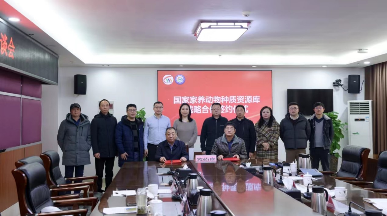 663dded1df7a8.jpg 663dded1df7a8.jpg