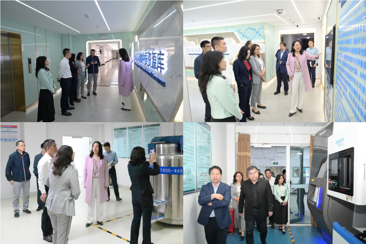 66472a278122b.jpg 66472a278122b.jpg