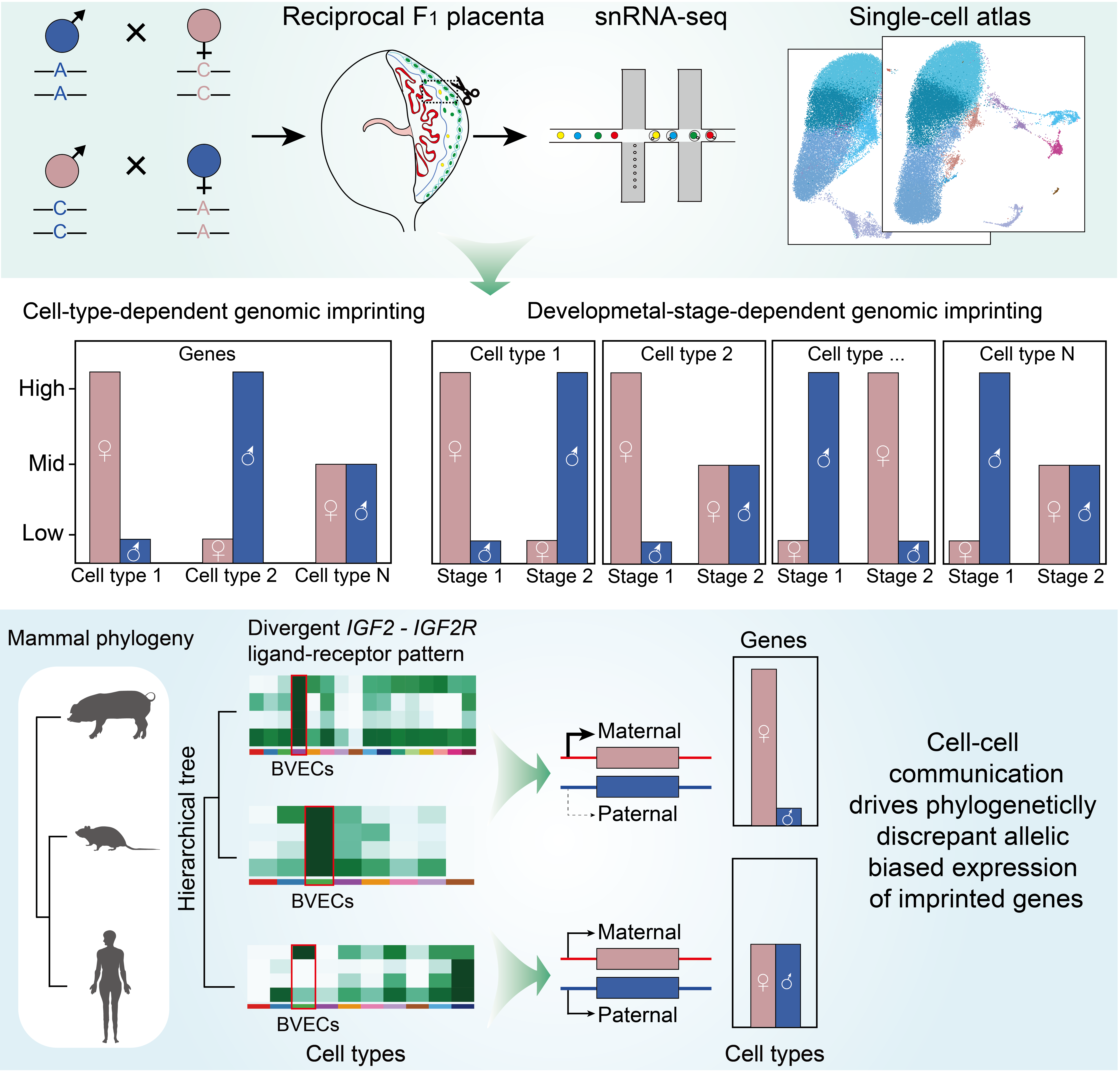6848de1fd3138.png 6848de1fd3138.png