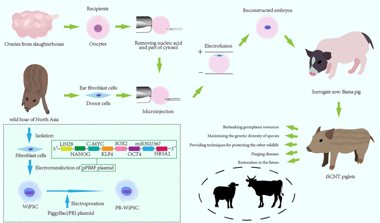 687e03172ff21.png 687e03172ff21.png