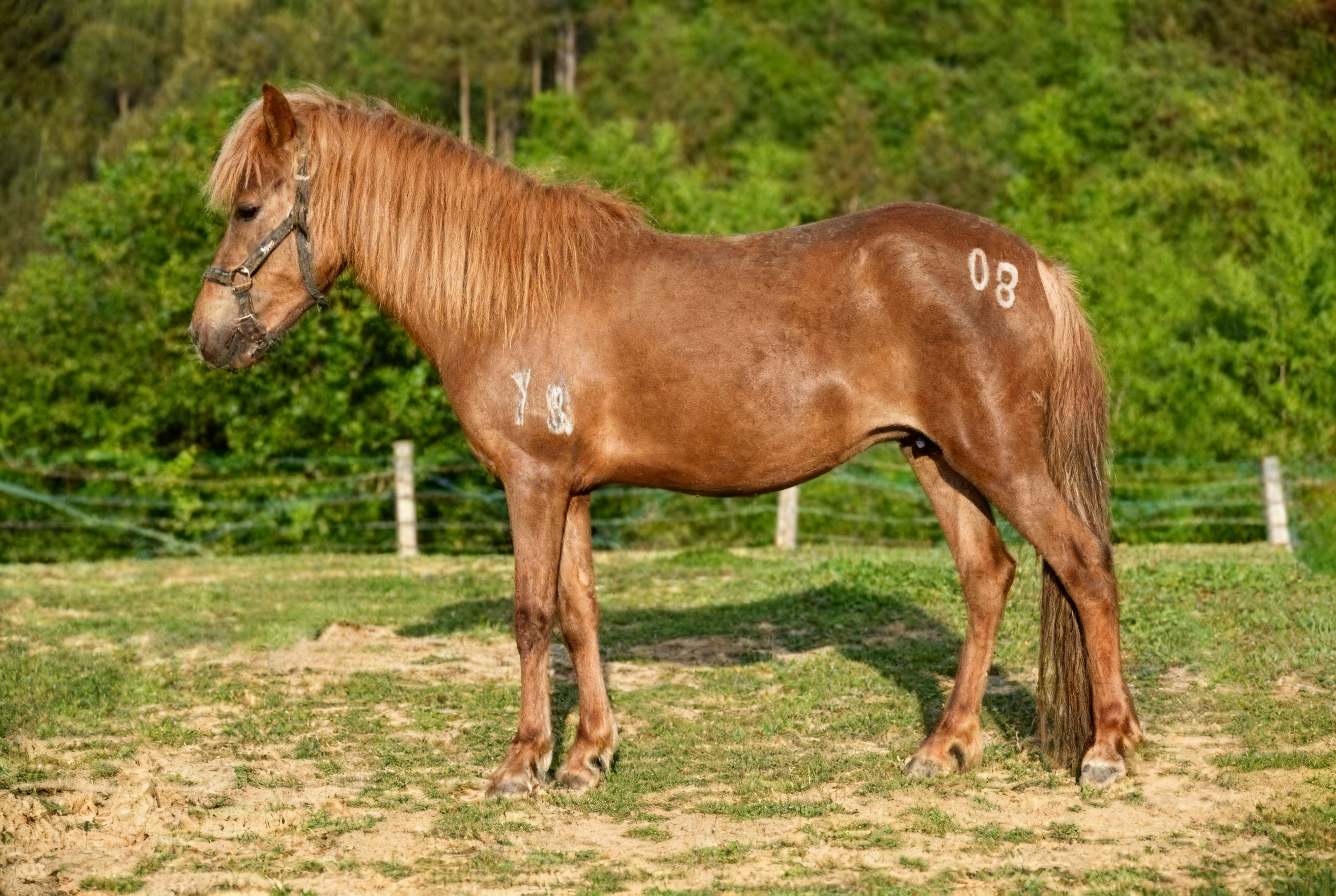 698ec737817ca.jpeg 698ec737817ca.jpeg