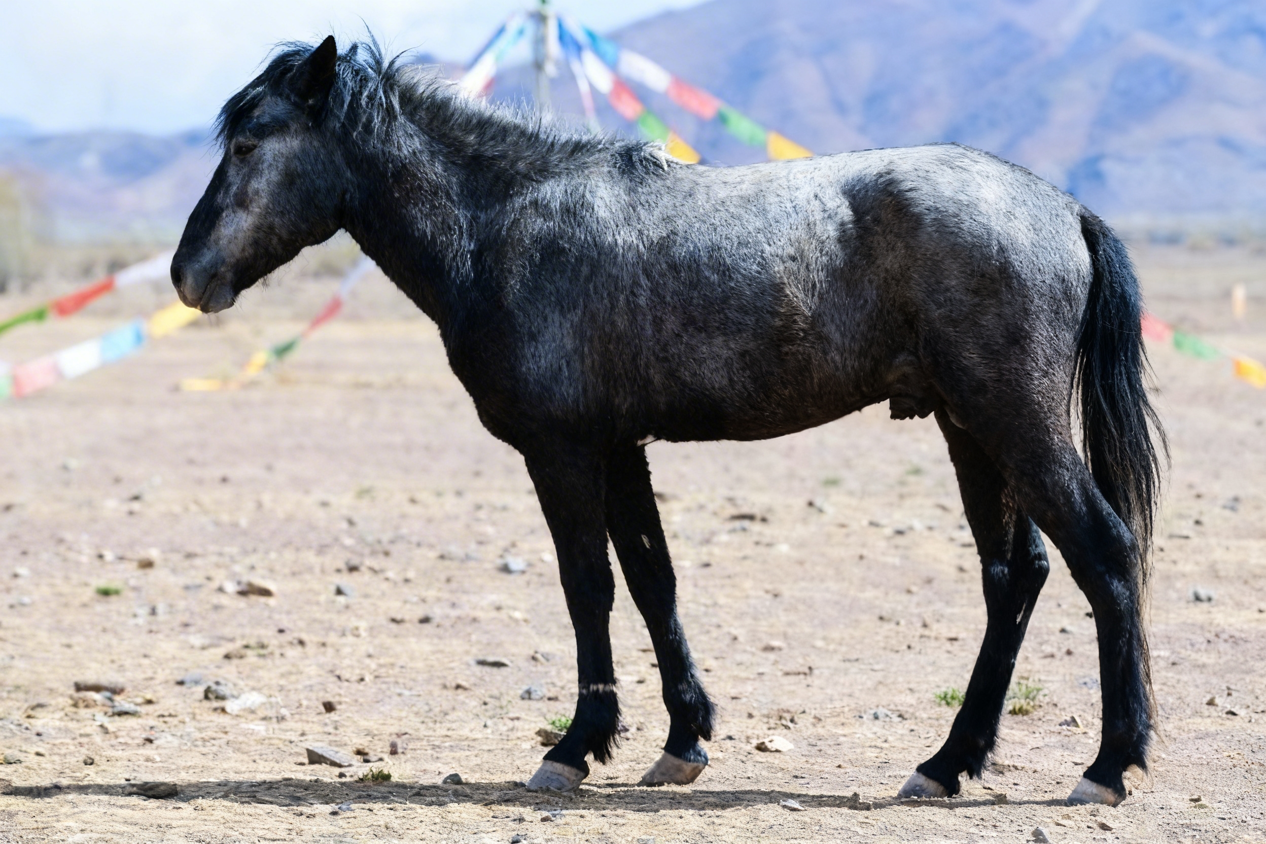 698ec7ee1b24f.jpeg 698ec7ee1b24f.jpeg